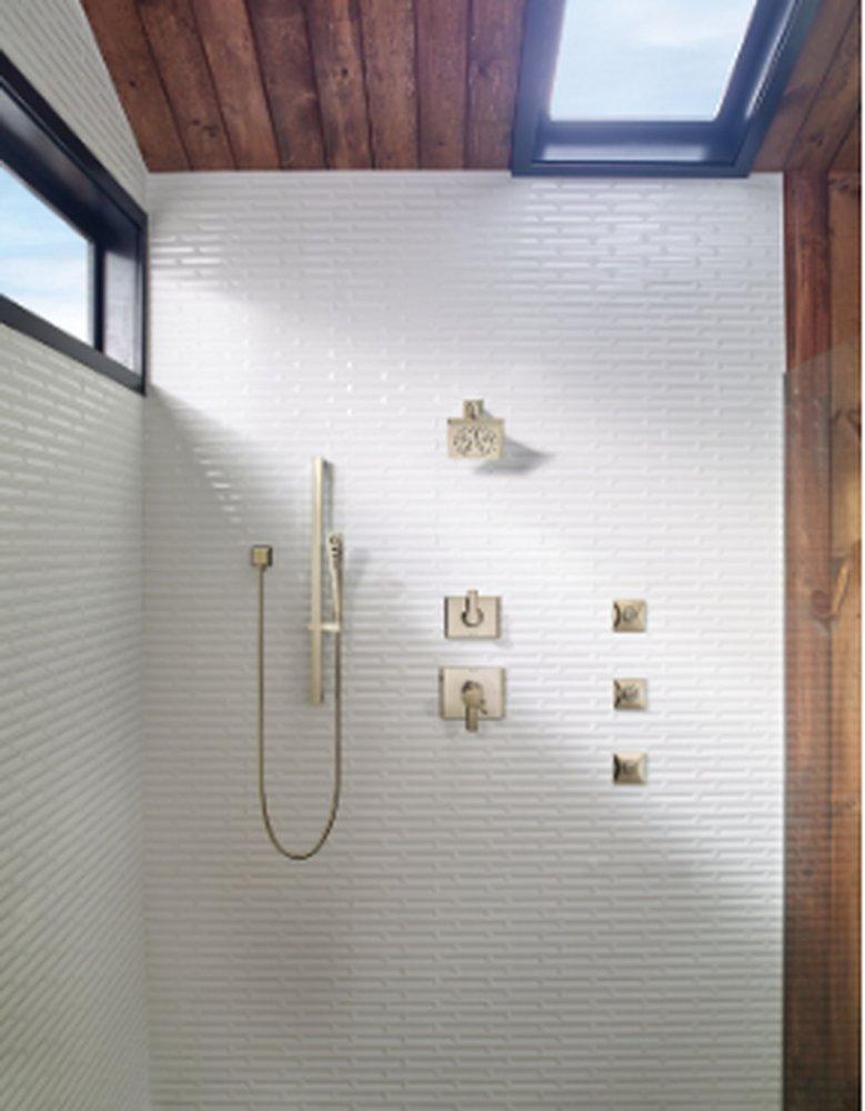 Delta Faucet Lumicoat Polished Nickel Two Handle Multi Function Shower Faucet (Trim Only) 