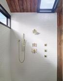 Delta Faucet Lumicoat Polished Nickel Two Handle Multi Function Shower Faucet (Trim Only) 