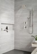 Delta Faucet Lumicoat Stainless Single Handle Multi Function Shower Faucet (Trim Only) 