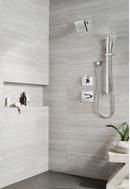 Delta Faucet Lumicoat Chrome Single Handle Multi Function Shower Faucet (Trim Only) 