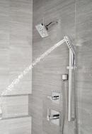 Delta Faucet Lumicoat Chrome Single Handle Multi Function Shower Faucet (Trim Only) 