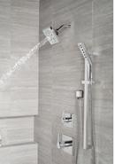 Delta Faucet Lumicoat Chrome Single Handle Multi Function Shower Faucet (Trim Only) 