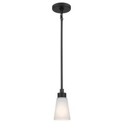 60W 1-Light Medium E-26 Incandescent Pendant Light in Black