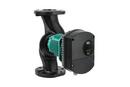 Cast Iron Circulator Pump