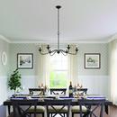 6-Light Chandelier Ceiling Light in Matte Black 