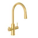 Two Handle Lever Water Filter Faucet in Brushed Gold
