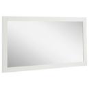 56 VANITY MIRROR SOFT WHITE 