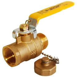 3/4 in. Forged Brass Full Port FNPT x MGHT 600# Ball Valve