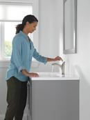 Single Handle Monoblock Bathroom Sink Faucet in Brilliance&reg; Stainless 