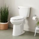 Signature Hardware White 1.28 gpf Elongated Floor Mount Two Piece Toilet 