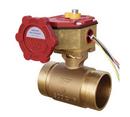 National Fire Products Grooved Slow Close Butterfly Valve with Switch 