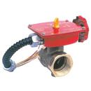 2 in. Bronze FNPT Butterfly Valve 