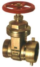 2-1/2 in. MNST x Swivel FNST Gate Valve 