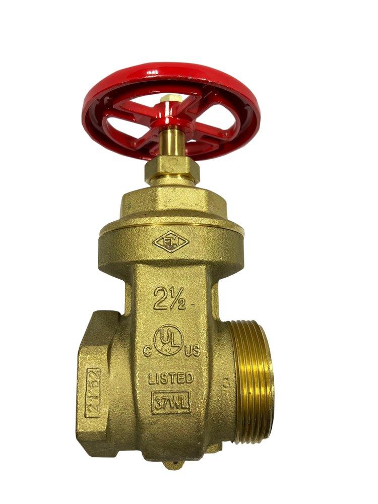 2-1/2 in. FNPT x MNST Gate Valve 