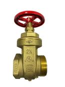 2-1/2 in. FNPT x MNST Gate Valve 