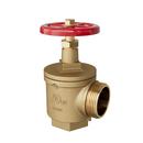 2-1/2 in. FNPT x MNST Angle Hose Valve 