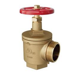 2-1/2 in. FPT x MNST Angle Hose Valve