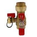 1 in. IPS Valve Service Kit 