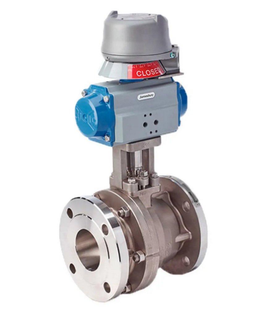 1 CS MNL 300# FLG SP FS BV F/CL2 