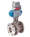 1 CS MNL 300# FLG SP FS BV F/CL2 