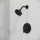 Pfister Tuscan Bronze Single Handle Multi Function Shower Faucet (Trim Only) 