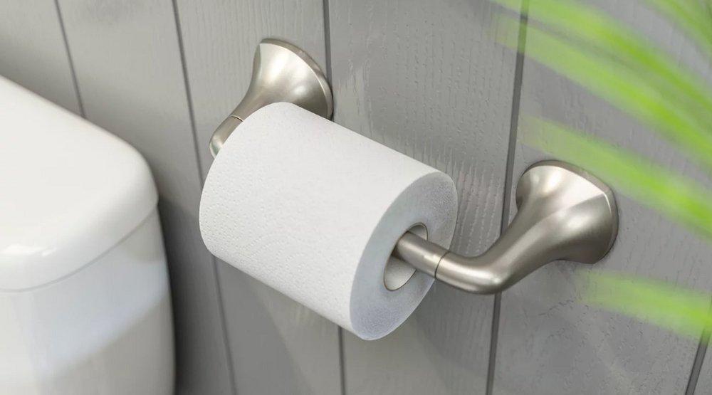 Pfister Spot Defense Brushed Nickel Wall Toilet Tissue Holder 