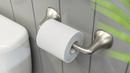 Pfister Spot Defense Brushed Nickel Wall Toilet Tissue Holder 
