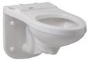 1.28 gpf Bowl Toilet in White