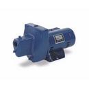 Sta-Rite Industries Shallow Well Jet Pump 