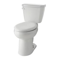Elongated Floor Mount Toilet Bowl in White