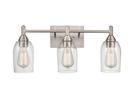 3-Light Vanity Fixture in Brushed Nickel 