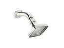 Kallista Polished Nickel Single Function Showerhead 