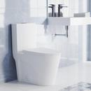 ST TROPEZ ONE-PIECE ELONGATED TOILET VORTEX DUAL-FLUSH IN MATTE WHITE 11/16 GPF 