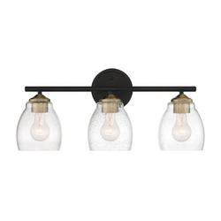 3-Light Vanity Fixture