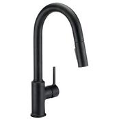 Black Kitchen Faucets