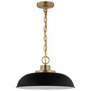 NUVO Matte Black/Burnished Brass 100W 1-Light Medium E-26 Incandescent Pendant 