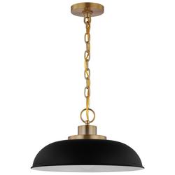 100W 1-Light Medium E-26 Incandescent Pendant in Matte Black with Burnished Brass