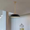 NUVO Matte Black/Burnished Brass 100W 1-Light Medium E-26 Incandescent Pendant 