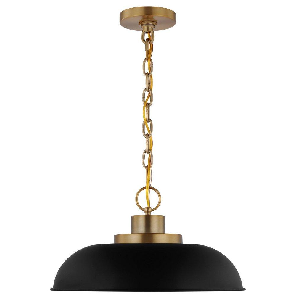 NUVO Matte Black/Burnished Brass 100W 1-Light Medium E-26 Incandescent Pendant 
