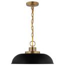 NUVO Matte Black/Burnished Brass 100W 1-Light Medium E-26 Incandescent Pendant 