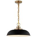 NUVO Matte Black/Burnished Brass 100W 1-Light Medium E-26 Incandescent Pendant 