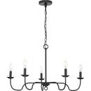 FIVE LIGHT MATTE BLACK FARMHOUSE CH 