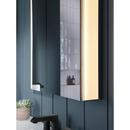 KOHLER Dark Anodized Aluminum 17 x 40 in. Surface Mount Medicine Cabinet 