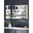 KOHLER Dark Anodized Aluminum 17 x 40 in. Surface Mount Medicine Cabinet 