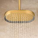 STATEMENT 1F 254MM/10 OBLG RAINHEAD G 