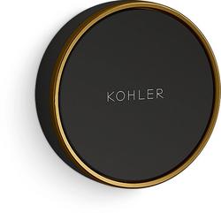 Plastic Digital Valve in Vibrant&reg; Brushed Moderne Brass