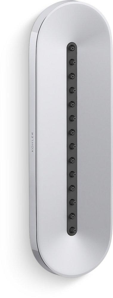 KOHLER Polished Chrome Single Function Body Spray 