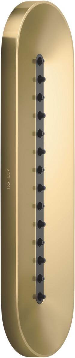 Single Function Body Spray in Vibrant&reg; Brushed Moderne Brass