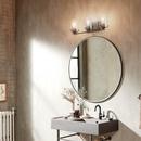 100W 3-Light Medium E-26 Vanity Fixture in Black 