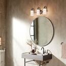 Kichler Lighting Black 75W 3-Light Medium E-26 Vanity Fixture 